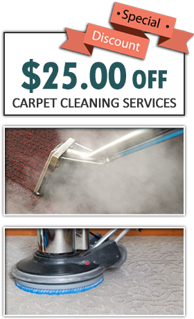 Save Now On Carpet Steam Cleaners